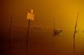 /album/nocturno/lagoa-de-obidos-jpg/
